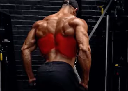 Read more about the article Dumbbell Back Exercises to Try