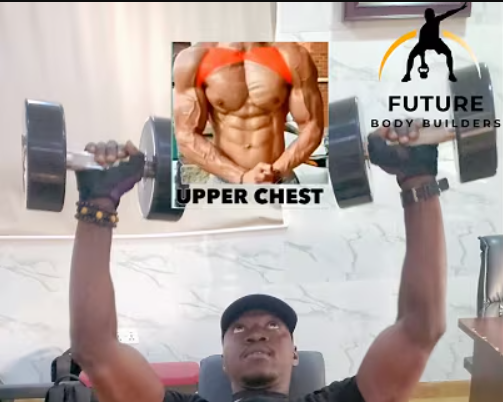 Read more about the article The Perfect Chest Workout for You