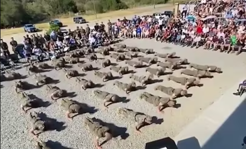 Read more about the article US army Military push-up challenge