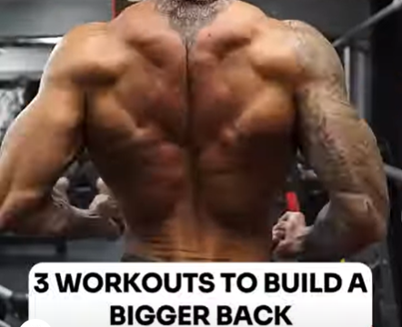 Read more about the article Workouts for a Bigger and Stronger Back