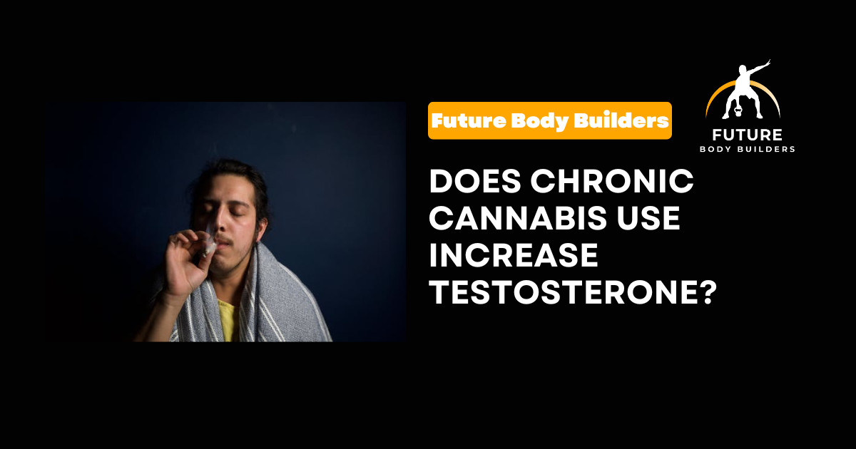 Does Chronic Cannabis Use Increase Testosterone?
