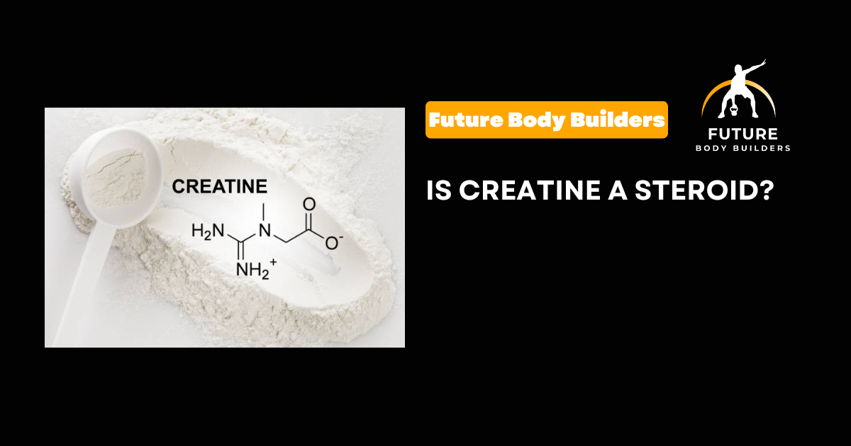 Is Creatine a Steroid?